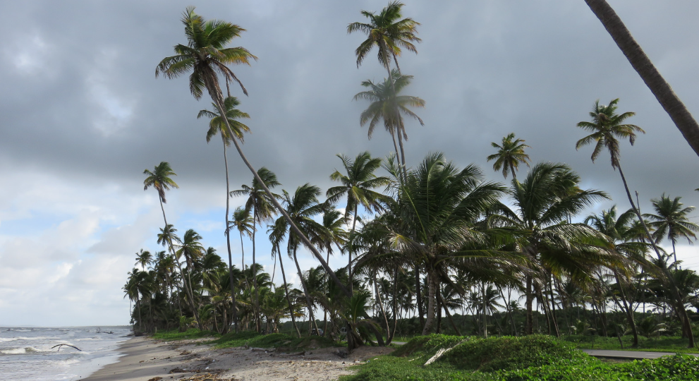 Manzanilla Beach, Trinidad, Trinidad and Tobago
